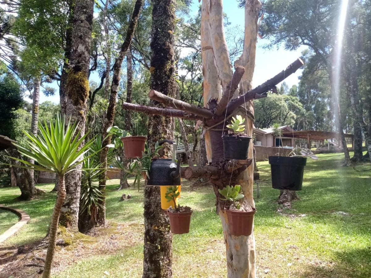 Quartos Recanto Da Natureza Interior Canela Eksteriør bilde