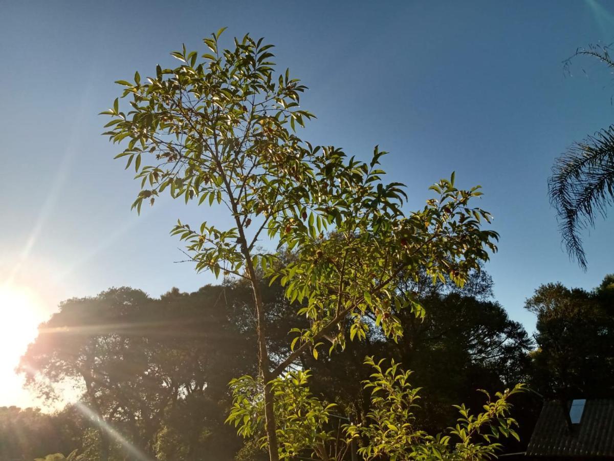 Quartos Recanto Da Natureza Interior Canela Eksteriør bilde