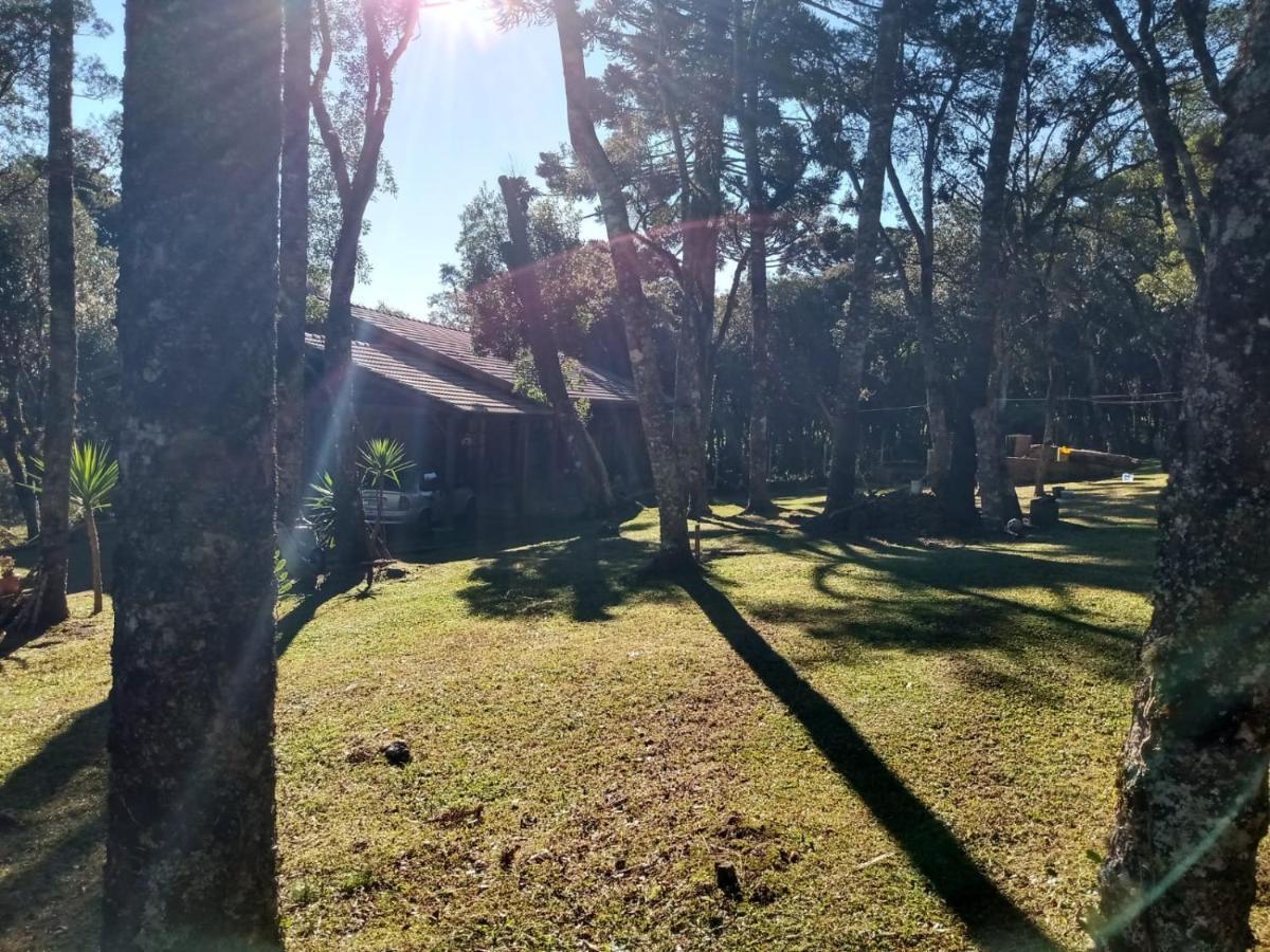 Quartos Recanto Da Natureza Interior Canela Eksteriør bilde
